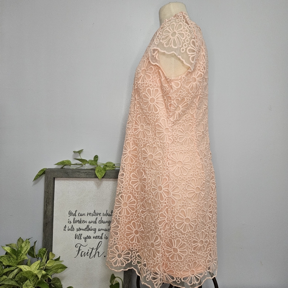 Lace Dress Size 14 New - Picture 13 of 16